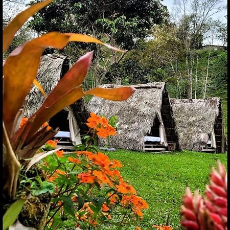 Rancho Porvenir Acomodação com café da manhã Mocoa Exterior foto