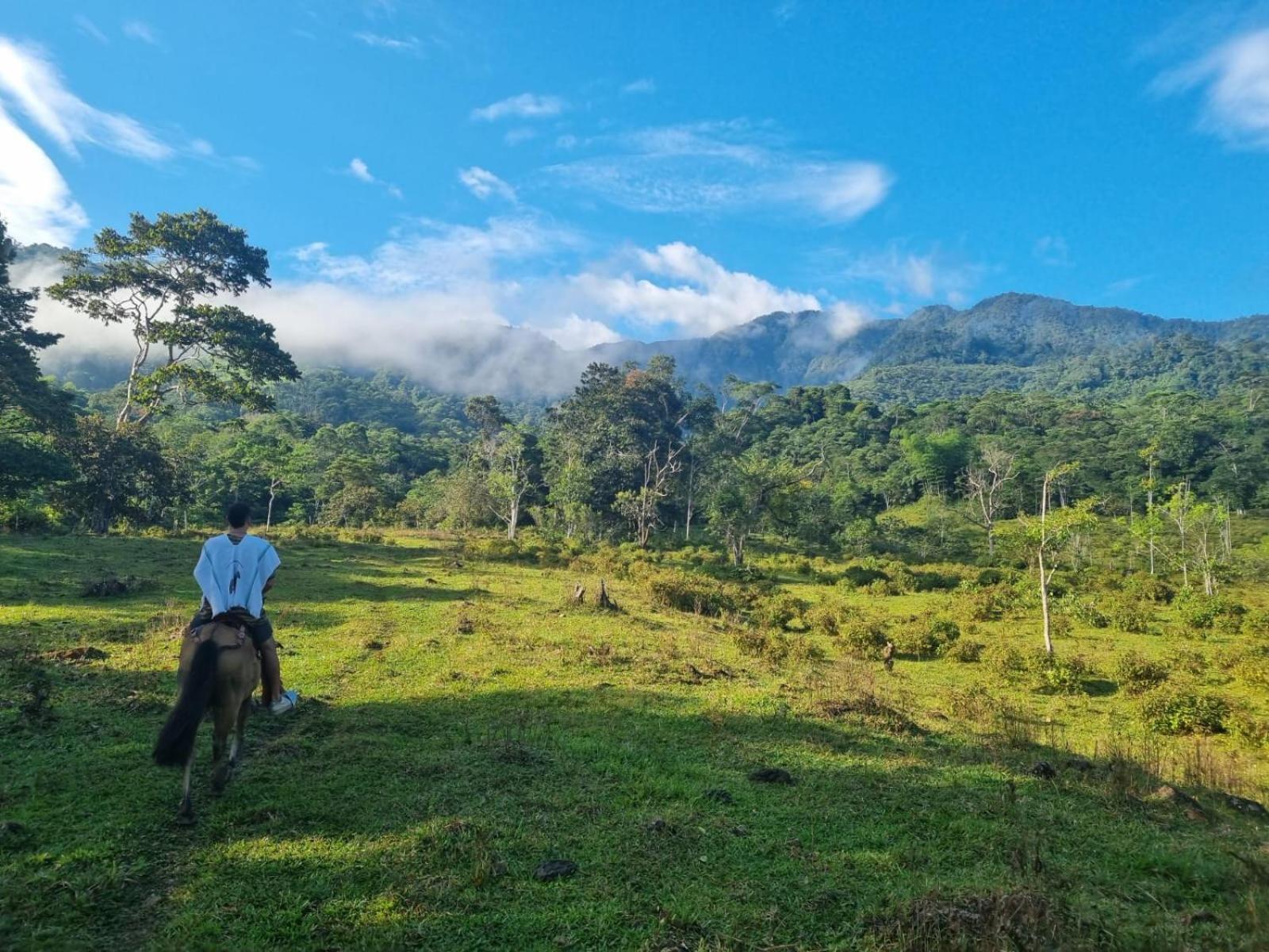 Rancho Porvenir Acomodação com café da manhã Mocoa Exterior foto