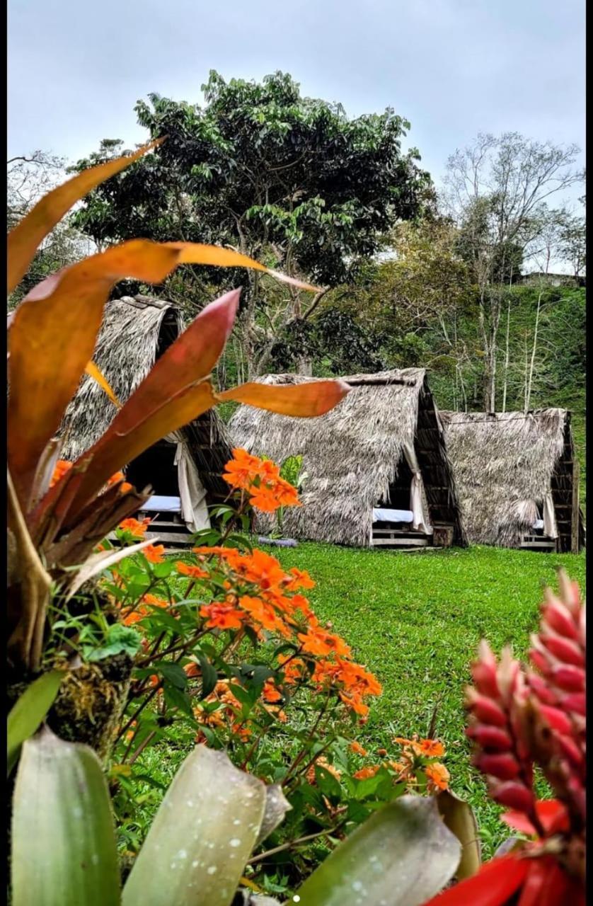 Rancho Porvenir Acomodação com café da manhã Mocoa Exterior foto