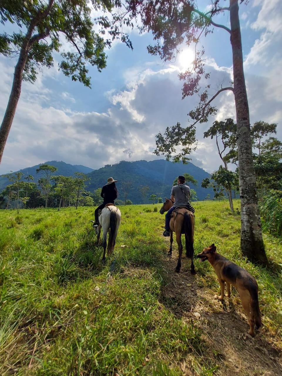 Rancho Porvenir Acomodação com café da manhã Mocoa Exterior foto